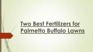 Two Best Fertilizers for Palmetto Buffalo Lawns