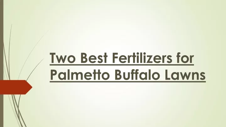 two best fertilizers for palmetto buffalo lawns