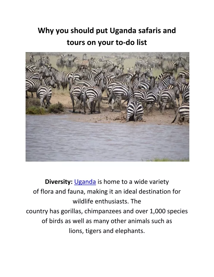 why you should put uganda safaris and tours