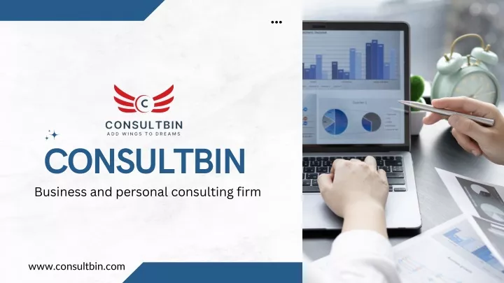 consultbin business and personal consulting firm