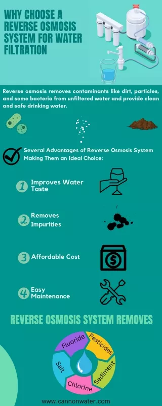 Why Choose a Reverse Osmosis System for Water Filtration