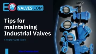 Tips for maintaining Industrial Valves - EG Valves