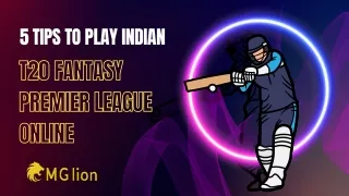 5 Tips to Play Indian T20 Fantasy Premier League Online - MGlion!