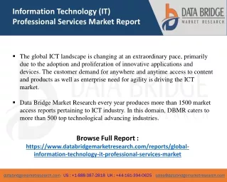 information technology it professional services