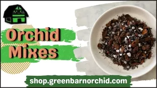 Get The Best Organic and healthy Orchid Mixes for your plants - Green Barn Orchi