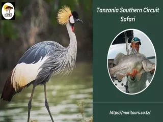 Tanzania Southern Circuit Safari