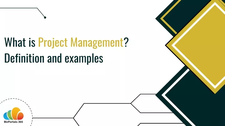 what is project management definition and examples