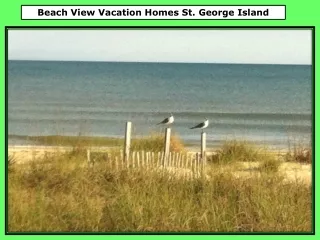 Beach View Vacation Homes St. George Island