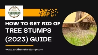 How To Get Rid Of Tree Stumps (2023) Guide
