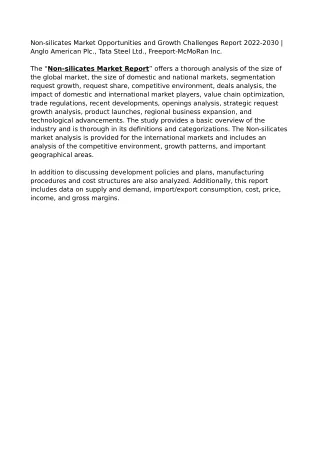 non silicates market opportunities and growth