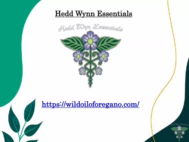 hedd wynn essentials