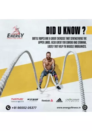 Treadmill Shop in Chennai | Energy Fitness and Sports