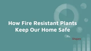 How Fire-Resistant Plants Keep Our Home Safe