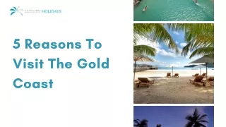 5 Reasons To Visit The Gold Coast