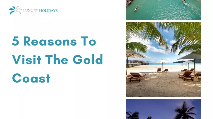 5 reasons to visit the gold coast