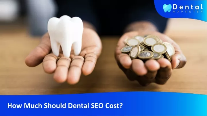 how much should dental seo cost