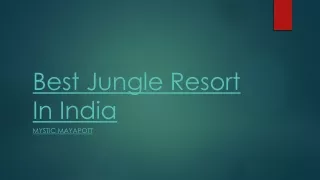 Best Jungle Resort In India