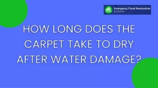 How Long Does The Carpet Take To Dry After Water Damage