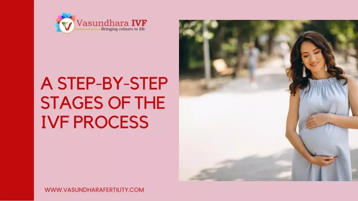 a step by step stages of the ivf process