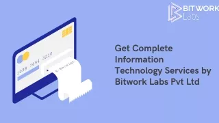 Get Complete Information Technology Services Under Budget; Bitwork Labs