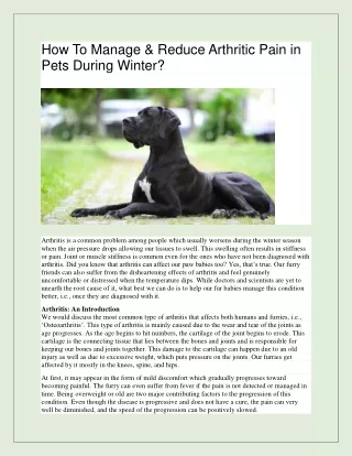 How To Manage & Reduce Arthritic Pain in Pets During Winter
