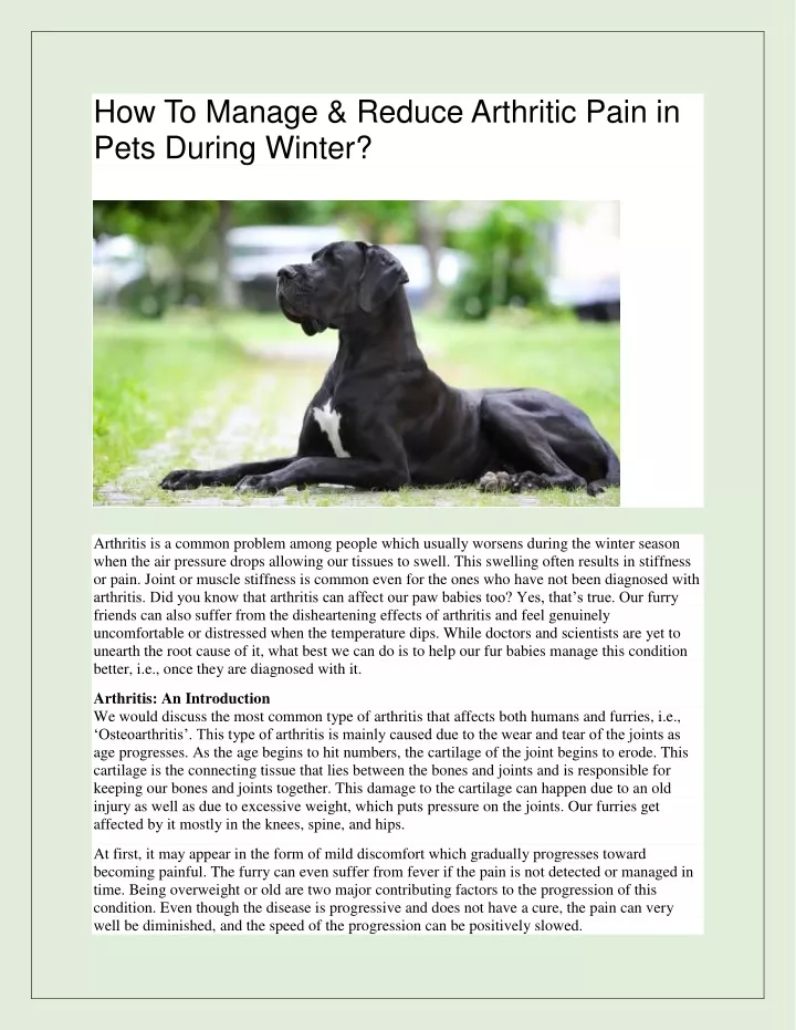 how to manage reduce arthritic pain in pets