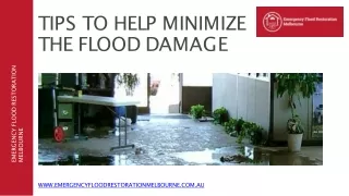 tips to help minimize the Flood damage