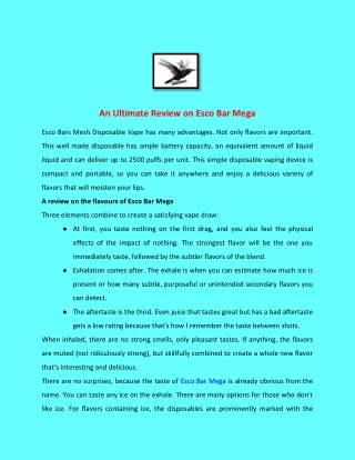 an ultimate review on esco bar mega