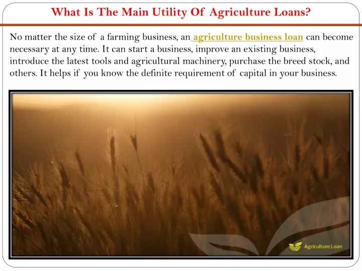 what is the main utility of agriculture loans
