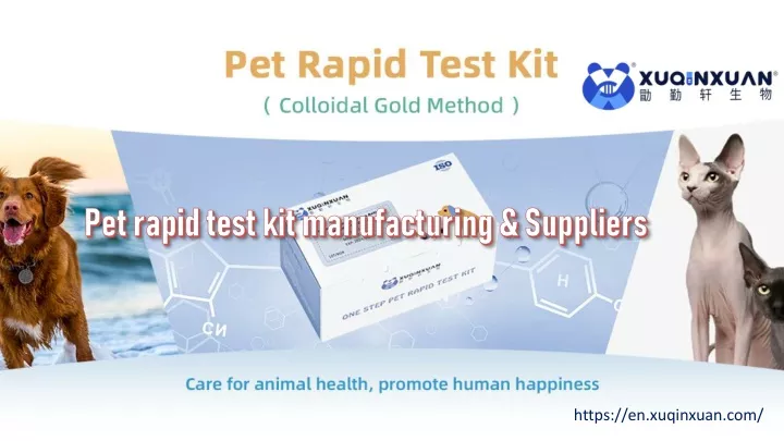 pet rapid test kit manufacturing suppliers