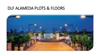 DLF Alameda Plots & Floors in Sector 73 Gurgaon | Price List, Foors Plans, & Bro