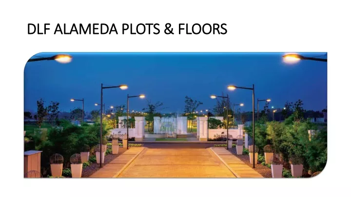 dlf alameda plots floors