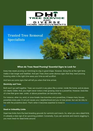 Land Clearing Services in Westwood NJ – D H I Treecare Service