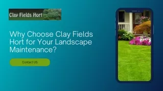 Why Choose Clay Fields Hort for Your Landscape Maintenance