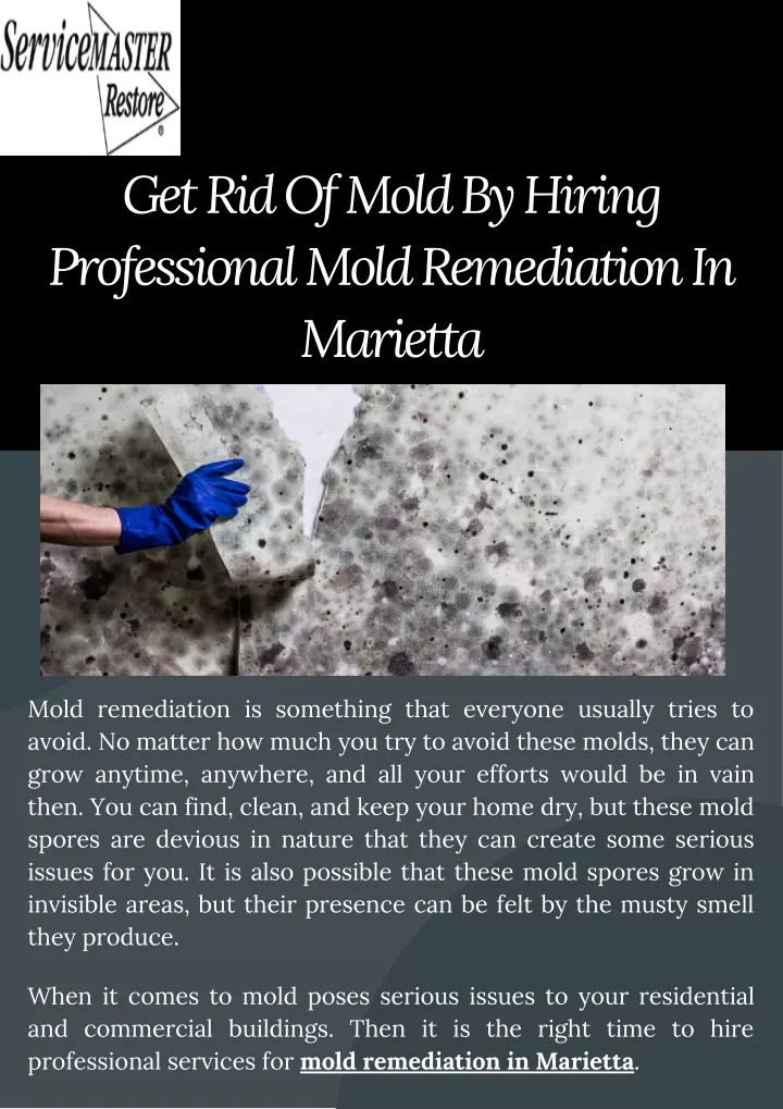 get rid of mold by hiring professional mold