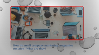 How do small company marketing companies function? What are they?