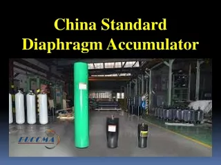 china standard diaphragm accumulator