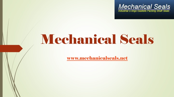 mechanical seals