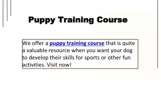 Puppy Training Course