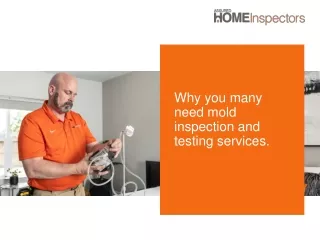 Why you may need mold inspection and testing services.