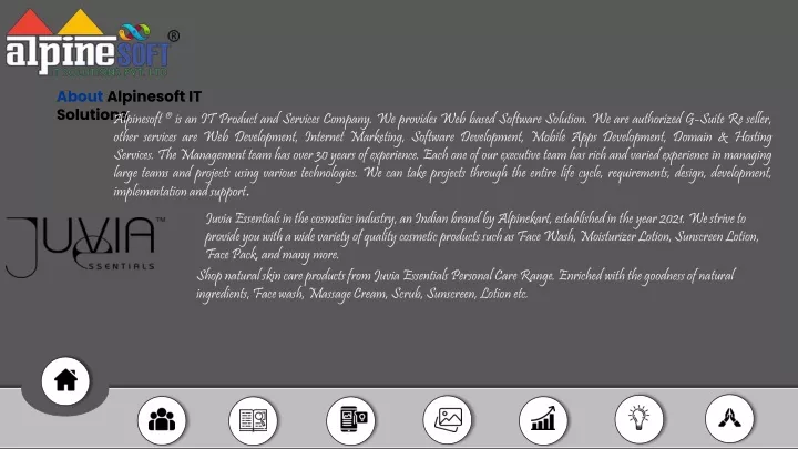 about alpinesoft it solutions