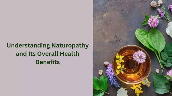 Ppt Understanding Naturopathy And Its Overall Health Benefits Powerpoint Presentation Id