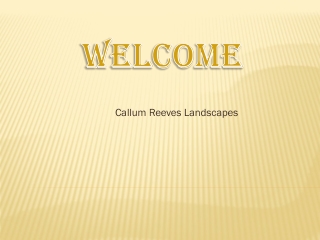 callum reeves landscapes