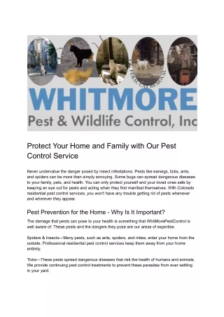Protect Your Home and Family with Our Pest Control Service