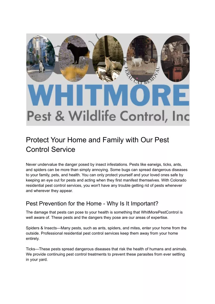 protect your home and family with our pest