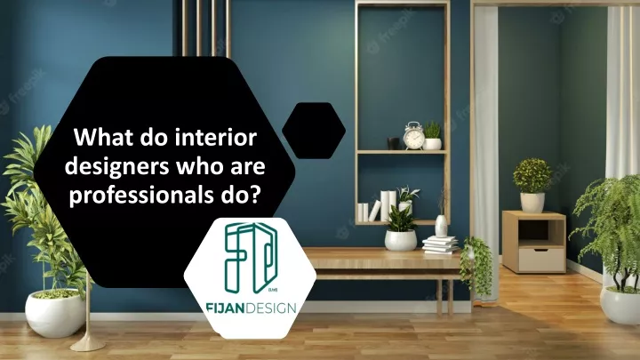 what do interior designers who are professionals do