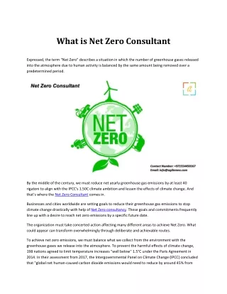 What is Net Zero Consultant