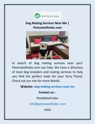 Dog Mating Services Near Me | Petsmatefinder.com