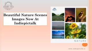 Beautiful Nature Scenes Images Now At Indiepictalk