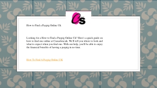 How to Find a Paypig Online Uk   Casualstar.uk
